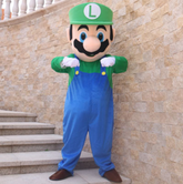 READY TO SHIP FROM LOS ANGELES Affordable Super Mario Luigi Mascot Costumes Carnival Party Cosplay Suit